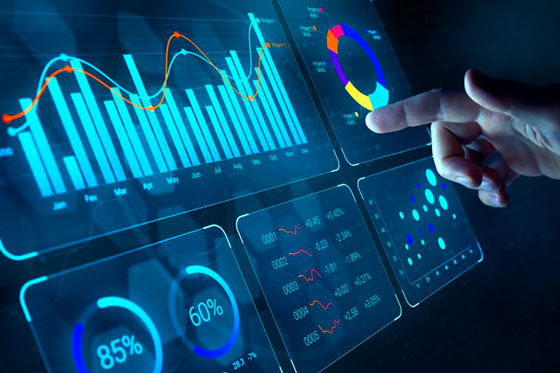 Digital Services Development